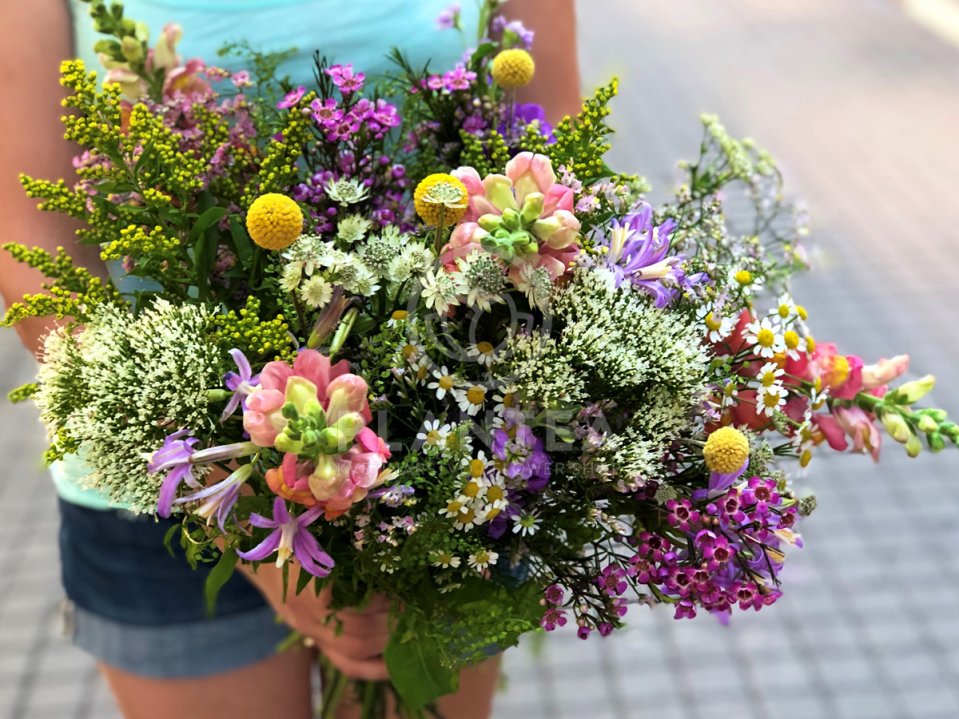 Letná lúčna kytica