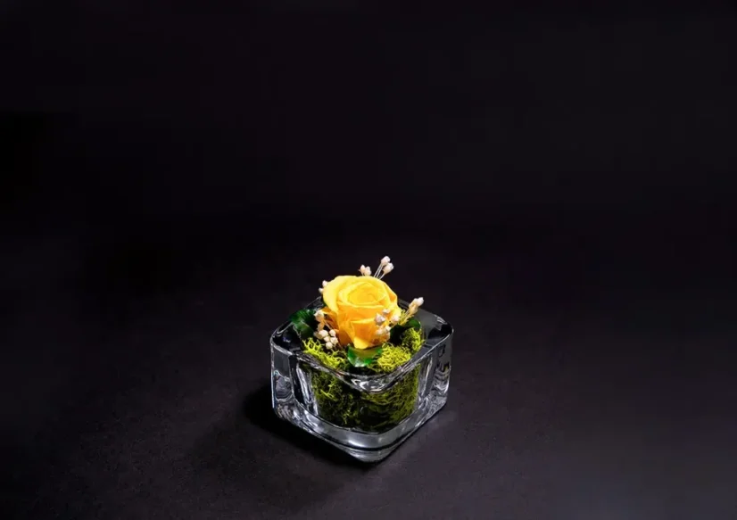 Stabilizovaná ruža mini - Farba: Rúžová