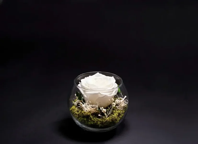 Stabilizovaná ruža v akváriu - Farba: Červená