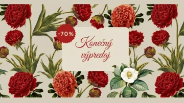 VEĽKÝ VÝPREDAJ -70%