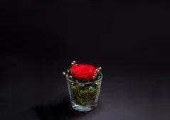 Stabilizovaná ruža v sklenenej nádobke