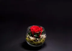 Stabilizovaná ruža v akváriu