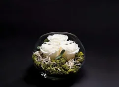 Stabilizované ruže 3ks v akváriu