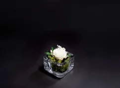 Stabilizovaná ruža mini