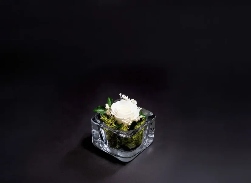 Stabilizovaná ruža mini - Farba: Rúžová