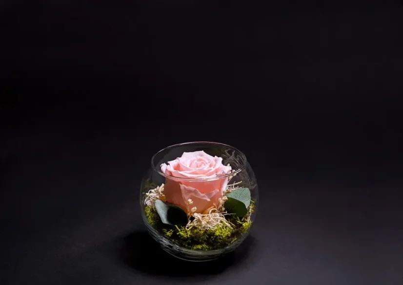 Stabilizovaná ruža v akváriu - Farba: Červená