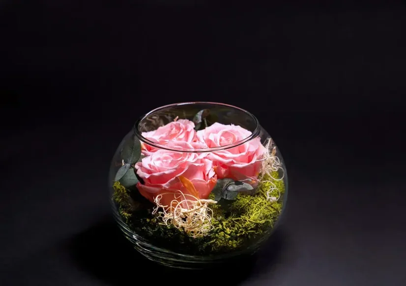 Stabilizované ruže 3ks v akváriu - Farba: Červená