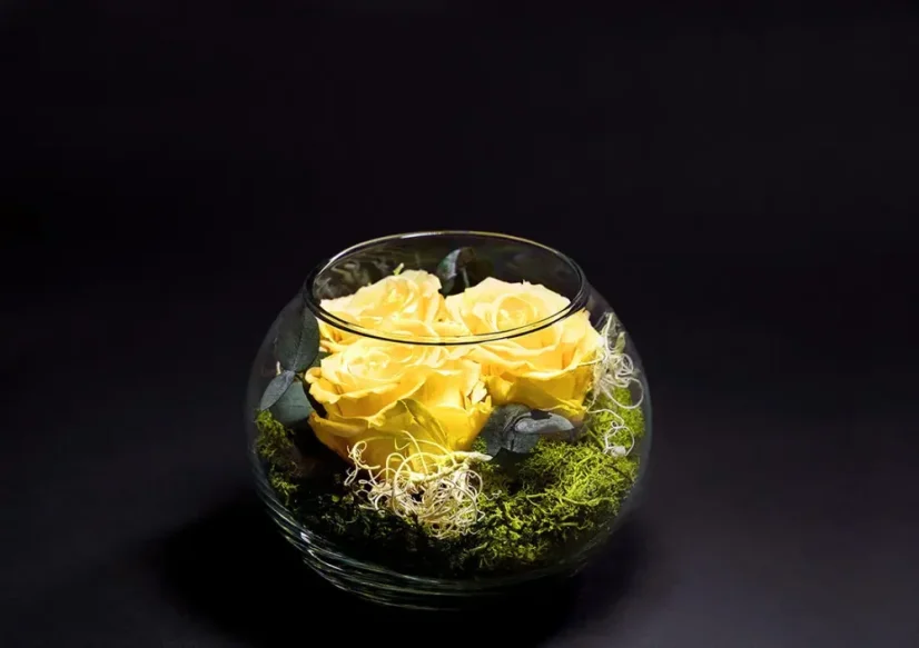 Stabilizované ruže 3ks v akváriu - Farba: Červená