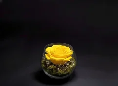 Stabilizovaná ruža v akváriu