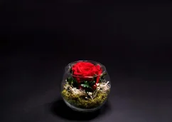 Stabilizovaná ruža v akváriu