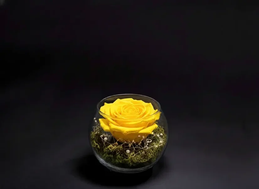 Stabilizovaná ruža v akváriu - Farba: Červená