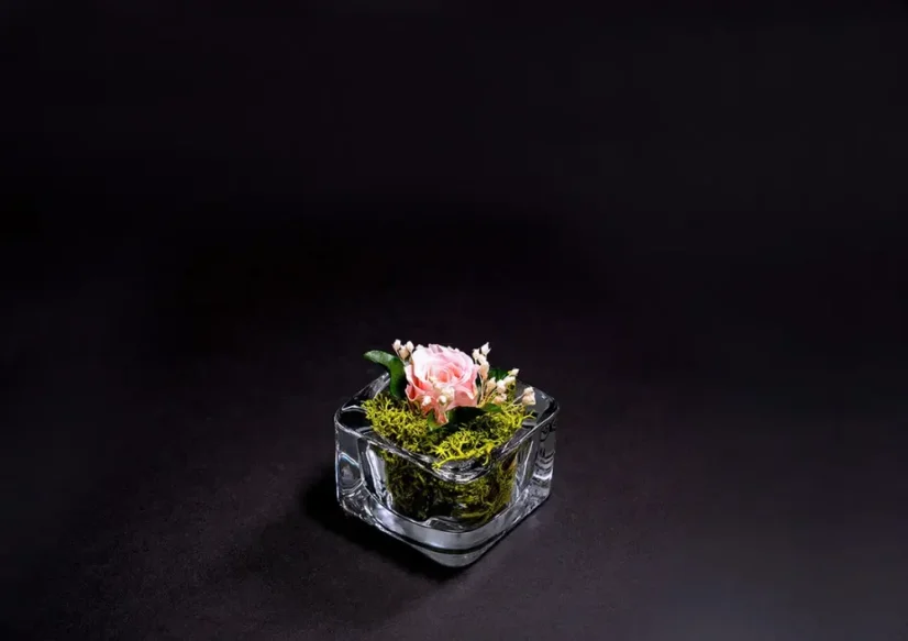 Stabilizovaná ruža mini - Farba: Rúžová