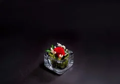 Stabilizovaná ruža mini