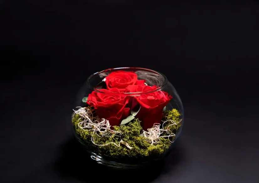 Stabilizované ruže 3ks v akváriu - Farba: Červená