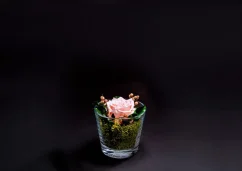 Stabilizovaná ruža v sklenenej nádobke